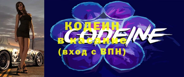 прущие грибы Абаза