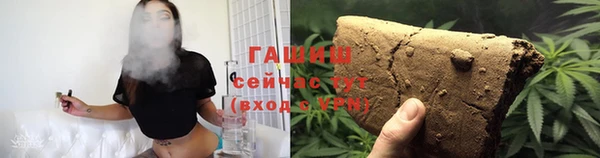 прущие грибы Абаза