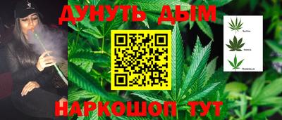 гашик Лесосибирск