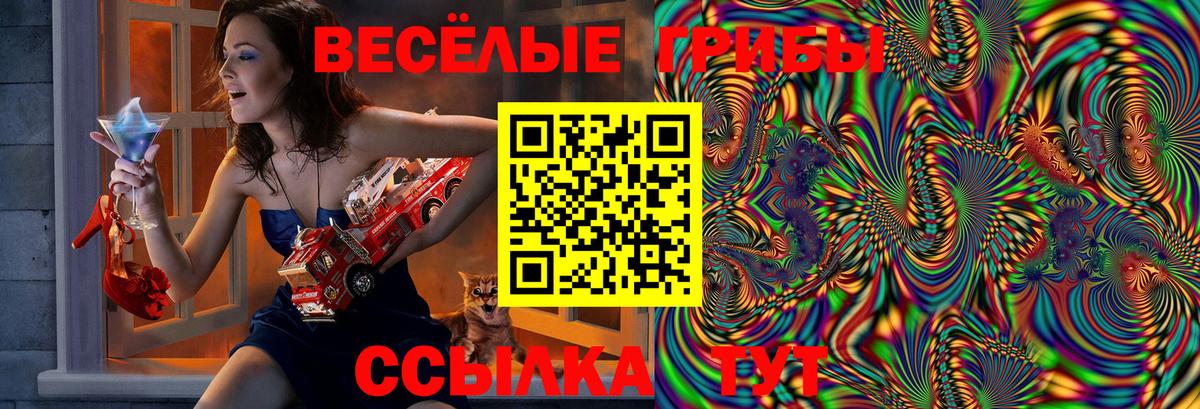 Янаул  Галлюциногенные грибы Cubensis  Вход с VPN 